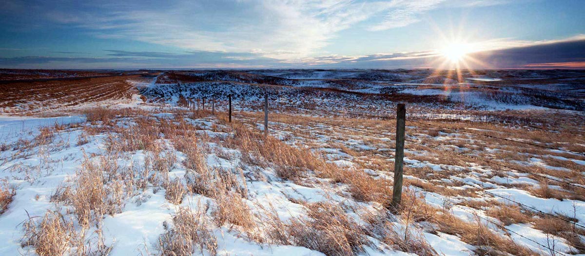 winter canadian fields