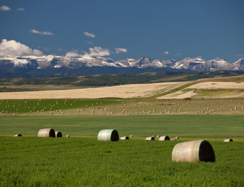 The Role of Patient Capital in Sustainable Business Growth