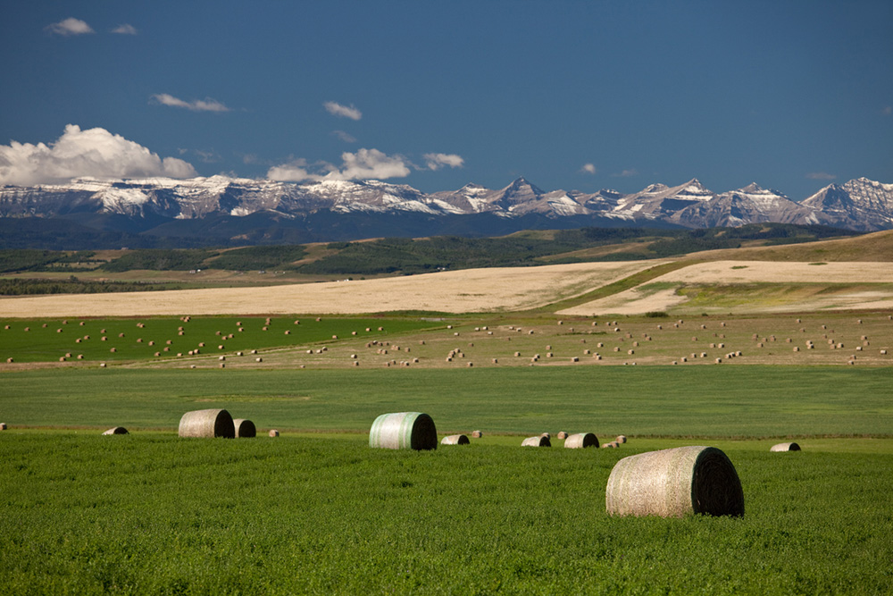 alberta foothills and mountains in the background